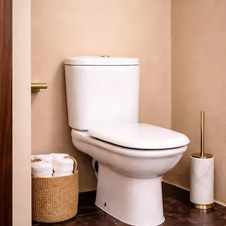 Apartment De Diseno De Grandes Dimensiones *